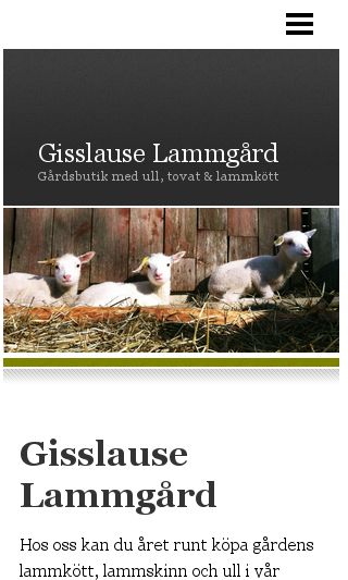 Mobile preview of gisslause.se