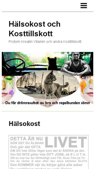 Mobile preview of halsokost.n.nu
