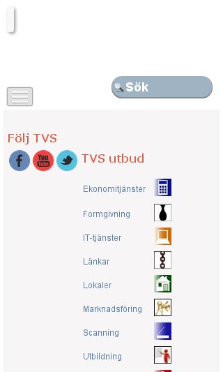 Mobile preview of tvs.se
